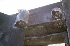 Worn, rusted hinge knuckles on a heavy commercial door
